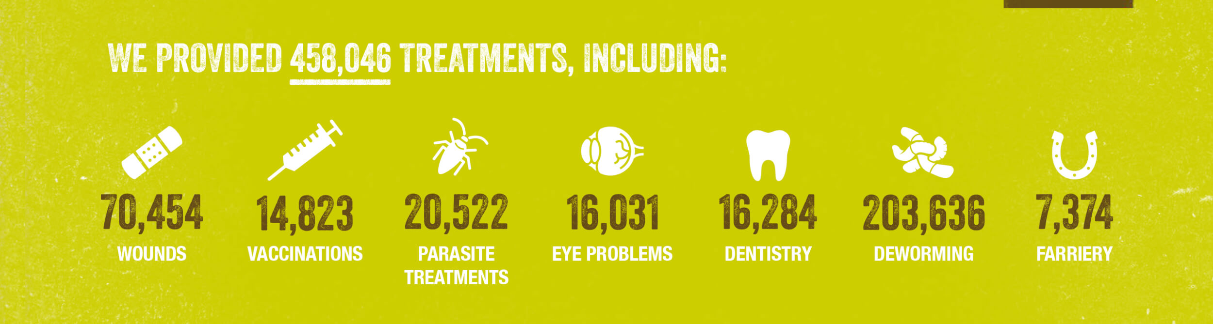 SPANA Annual Review infographics