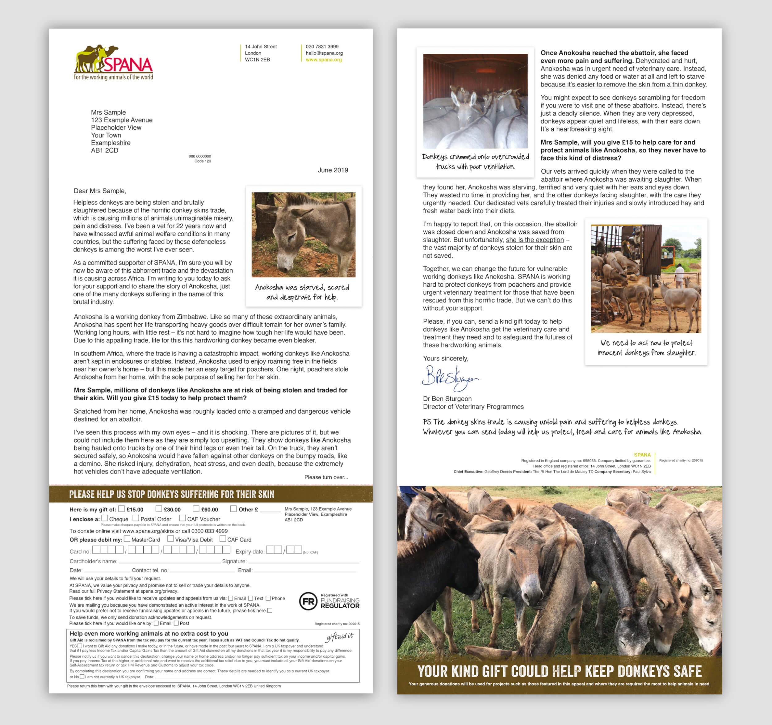 SPANA Direct Mail Appeal Letter