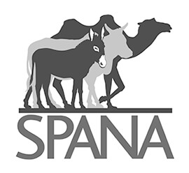 D22 client logo - SPANA