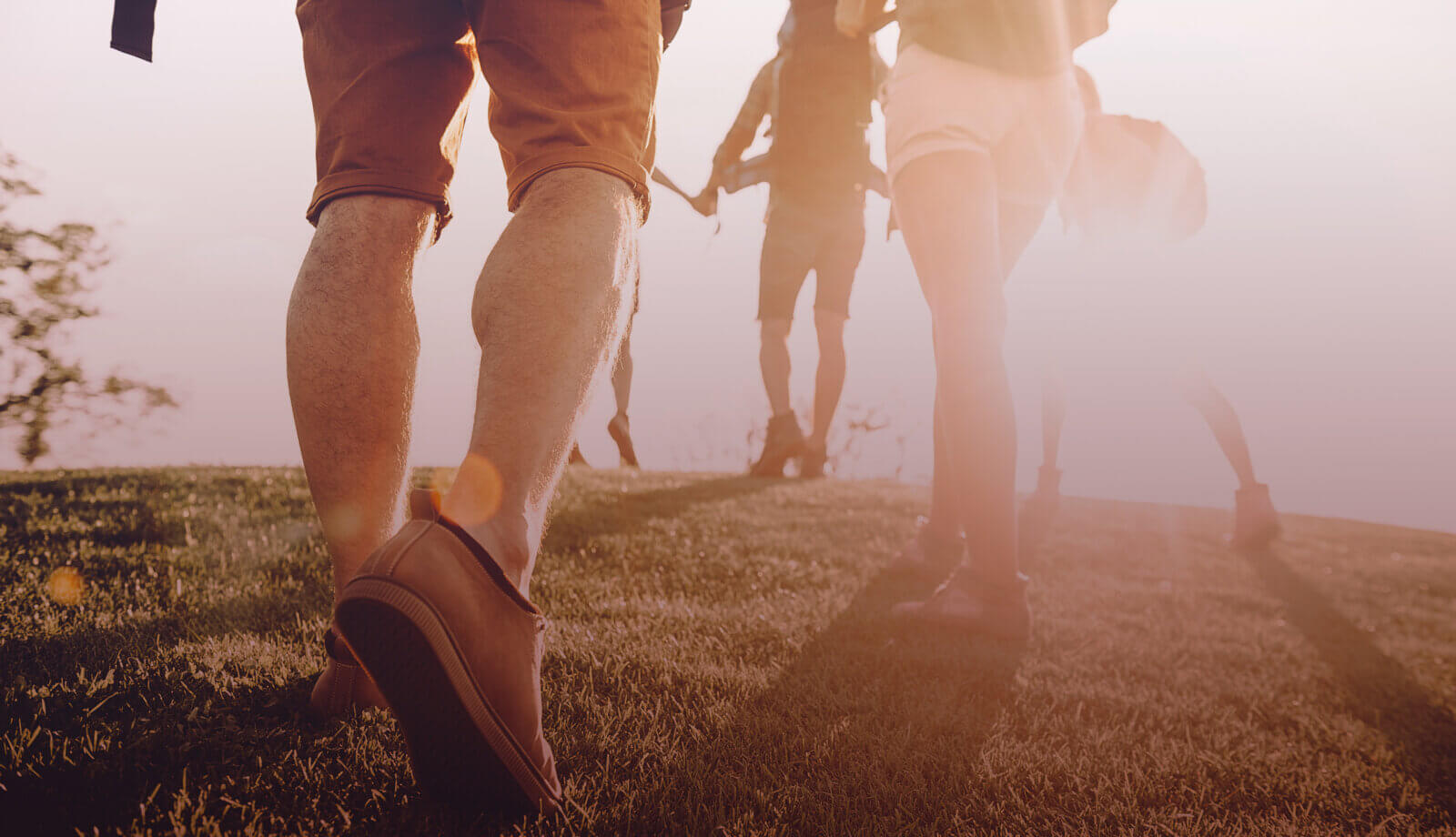 walkers in the sunlight