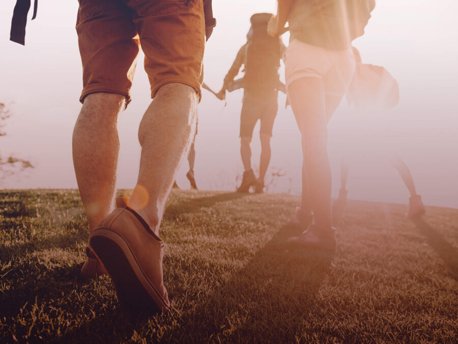 walkers in the sunlight