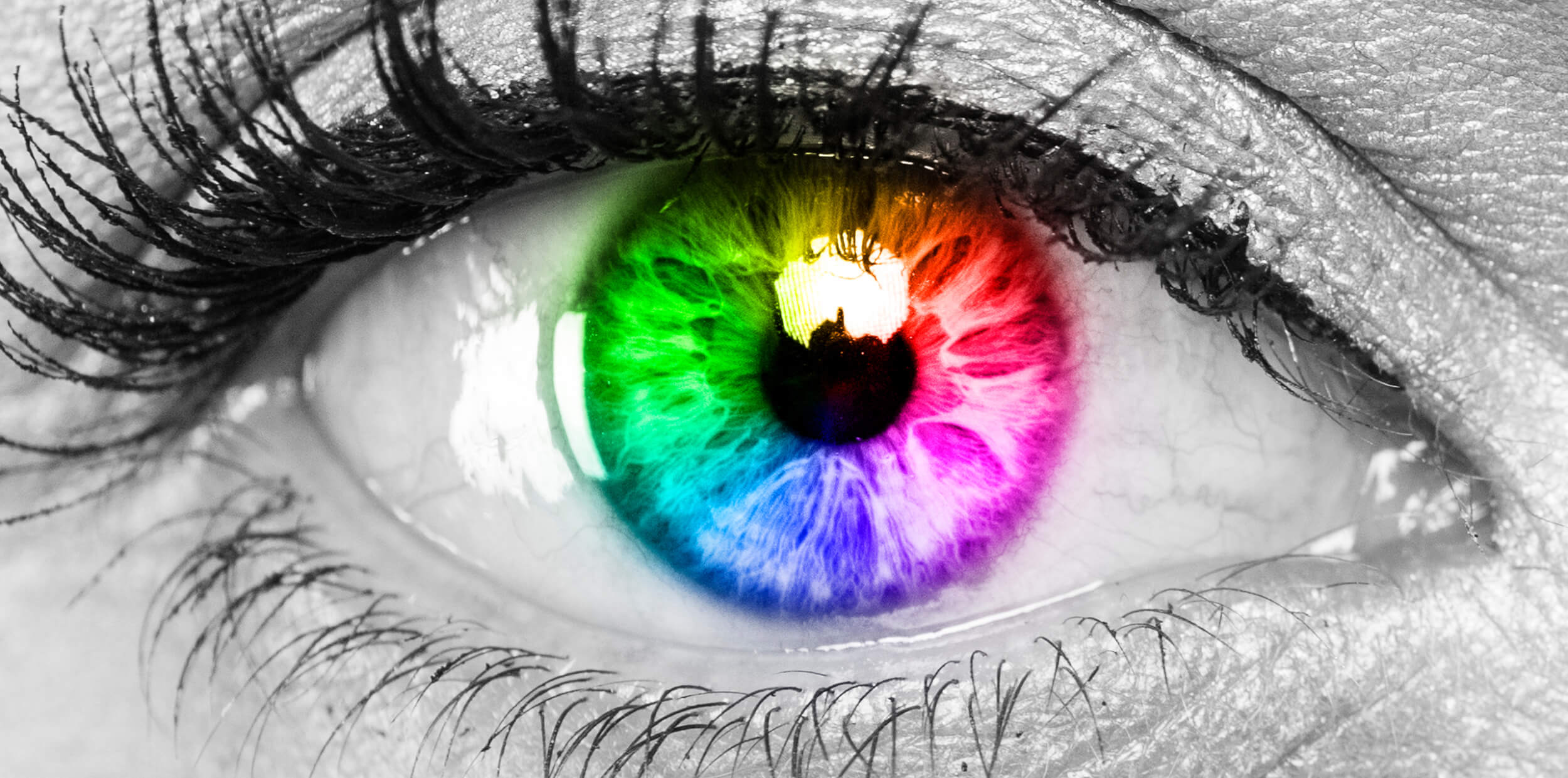 Black and white eye with colour wheel
